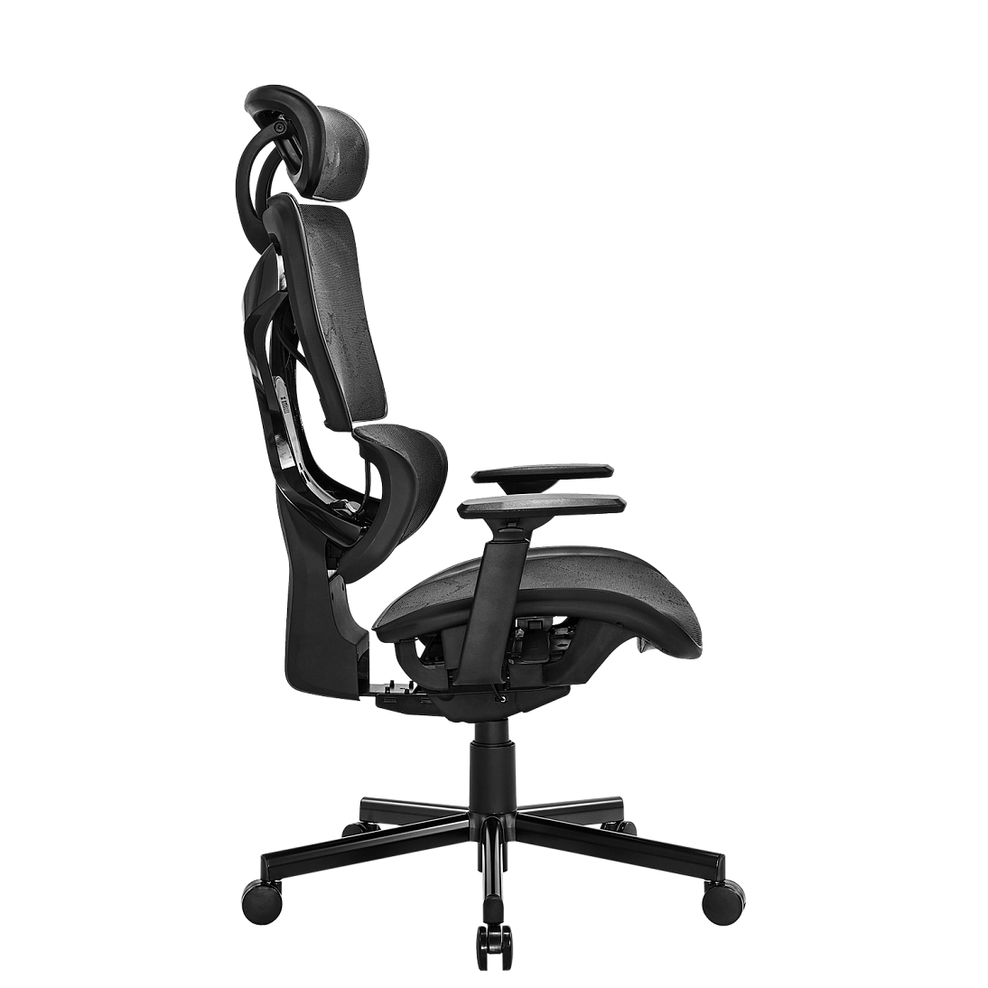 Freelancer K5, фото